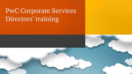pwc directors training